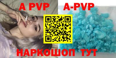 крисы Гатчина