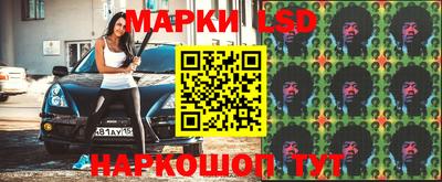 крисы Бийск