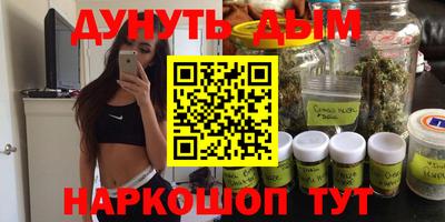 крисы Гатчина