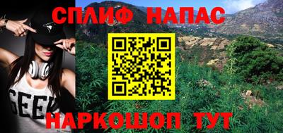 крисы Гатчина