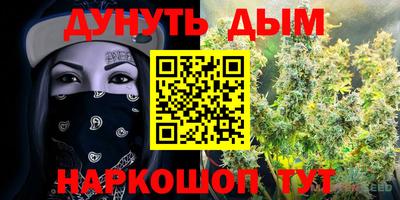крисы Гатчина