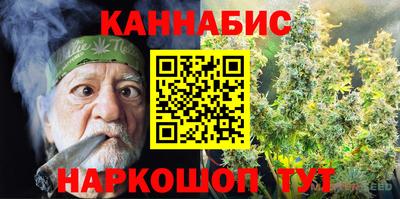 крисы Бийск