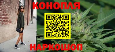 крисы Бийск