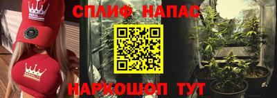 крисы Бийск