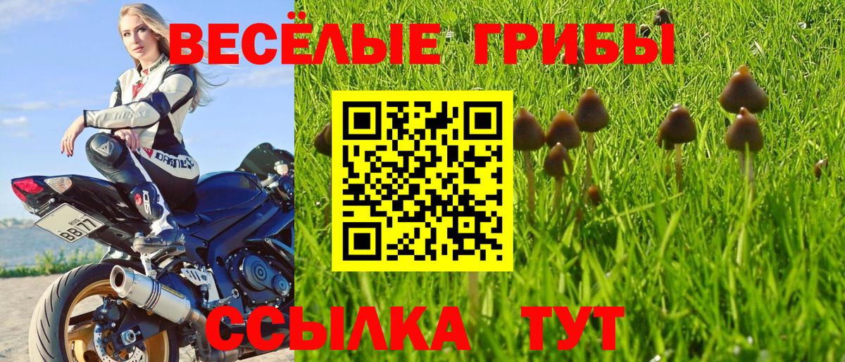 купить  цена  Галлюциногенные грибы прущие грибы  Вход с VPN  Жигулёвск 
