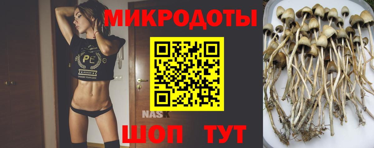 Псилоцибиновые грибы MAGIC MUSHROOMS Жигулёвск