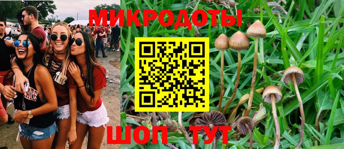 Лсд 25 Жигулёвск
